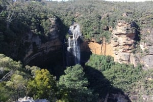 Sydney: Blue Mountains Featherdale and Wentworth Falls Tour