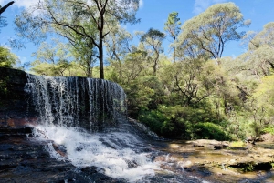 Blue Mountains Featherdale and Wentworth Falls Tour