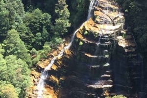 Sydney: Dagstur til Blue Mountains og Featherdale Wildlife Park
