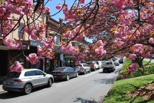 Sydney: Dagstur til Blue Mountains og Featherdale Wildlife Park