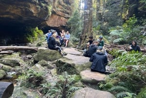 Sydney: escursione guidata alle Blue Mountains con pranzo e trasferimento
