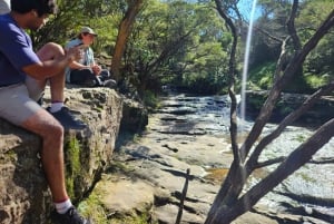 Sydney: escursione guidata alle Blue Mountains con pranzo e trasferimento