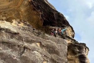 Sydney: Kangury, dzika przyroda i zachód słońca w Górach Błękitnych