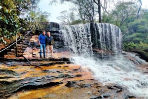 Sydney: Blue Mountains Late Start Tour with Walks & Wildlife