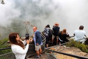 Sydney: Blue Mountains Late Start Tour with Walks & Wildlife