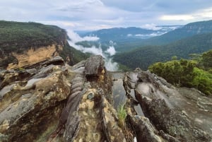Sydney: Blue Mountains Late Start Tour with Walks & Wildlife