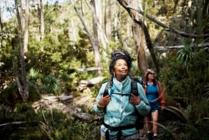 Sydney: Kangury, dzika przyroda i zachód słońca w Górach Błękitnych