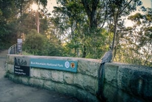 Sydney: Blue Mountains, Bushwalks, Waterfalls, and Koalas