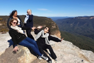 Sydney: Blue Mountains, Bushwalks, Waterfalls, and Koalas