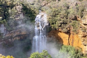 Blue Mountains private tour: Wild Kangaroos and a Cruise