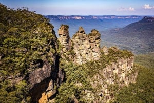 Blue Mountains private tour: Wild Kangaroos and a Cruise