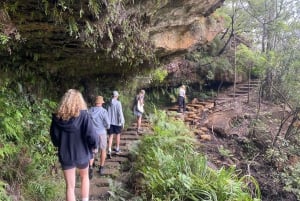 Blue Mountains private tour: Wild Kangaroos and a Cruise