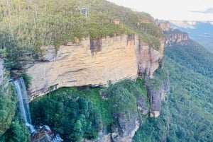 Blue Mountains private tour: Wild Kangaroos and a Cruise