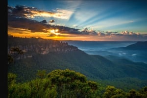 Sydney : Montagnes bleues, Scenic World et Featherdale Tour