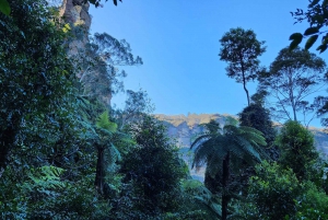 Sydney Blue Mountains, Scenic World, Featherdale (privat)