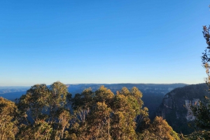 Sydney Blue Mountains, Scenic World, Featherdale (privat)