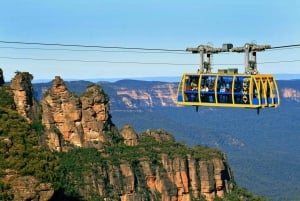 Sydney: Blue Mountains Scenic World, Wildlife Park ja lounas