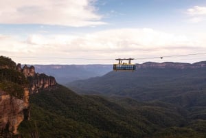 Sydney: Mondo scenico delle Blue Mountains, Parco della fauna selvatica e pranzo