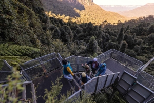Sydney: Mondo scenico delle Blue Mountains, Parco della fauna selvatica e pranzo