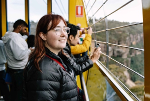 Sydney: Blue Mountains Scenic World, Wildlife Park and Lunch