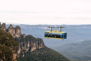 Sydney: Blue Mountains Scenic World, Wildlife Park und Mittagessen