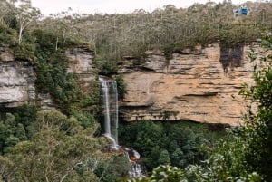 Sydney: Blue Mountains Scenic World, Wildlife Park und Mittagessen