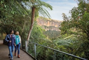 Sydney: Dagsutflykt till Sydney Zoo, Blue Mountains och Scenic World