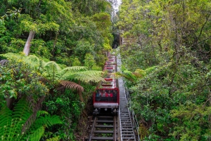Sydney: Dagstur til Blue Mountains, Sydney Zoo og Scenic World