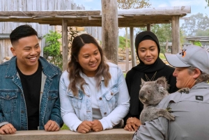 Sydney: Dagstur til Blue Mountains, Sydney Zoo og Scenic World