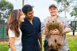 Sydney: Dagstur til Blue Mountains, Sydney Zoo og Scenic World