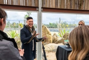 Sydney: Dagstur til Blue Mountains, Sydney Zoo og Scenic World