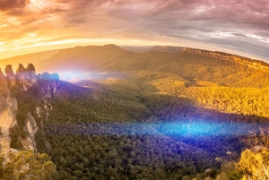 Sydney: Dagstur til Blue Mountains, Sydney Zoo og Scenic World