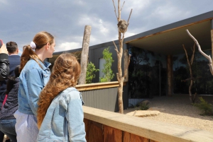 Sydney: Blue Mountains Tour & Sydney Zoo Visit