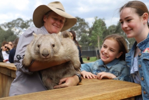 Sydney: Blue Mountains Tour & Sydney Zoo Visit