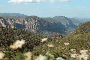 Z Sydney| Prywatna wycieczka po Górach Błękitnych| Wodospady i widoki