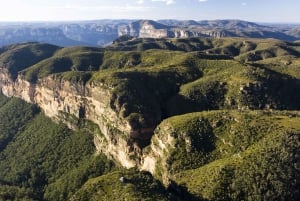 Sydney: Excursão às Blue Mountains com parque de vida selvagem e cachoeiras