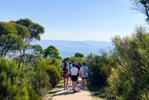 Sydney: Excursão às Blue Mountains com parque de vida selvagem e cachoeiras