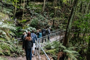 Sydney: Excursão às Blue Mountains com parque de vida selvagem e cachoeiras