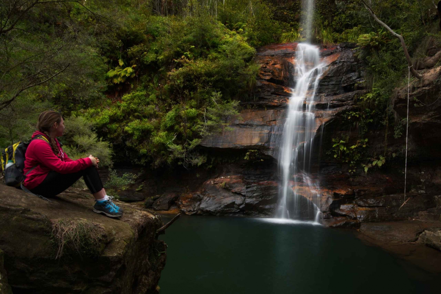 Sydney: Blue Mountains & Wildlife 4WD Tour with River Cruise