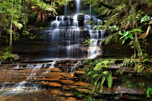 Sydney: Blue Mountains & Wildlife Park with River Cruise
