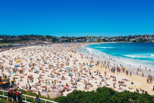 Sydney: Bondi Beach, Opera House & Garden Yksityinen päiväretki