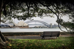 Sydney: Bondi Beach, Opera House & Garden Yksityinen päiväretki