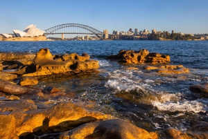 Sydney: Bondi Beach, Opera House & Garden Yksityinen päiväretki