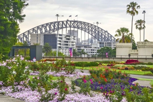 Sydney: Bondi Beach, Opera House & Garden Yksityinen päiväretki