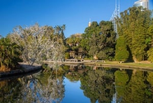 Сидней: Пляж Бонди, Оперный театр и город Сидней Частный тур