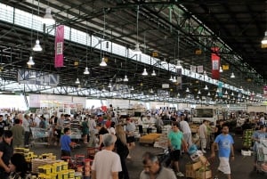 Сидней: Пляж Бонди, Оперный театр и город Сидней Частный тур