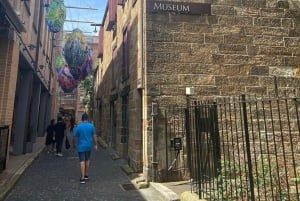 Сидней: Пляж Бонди, Оперный театр и город Сидней Частный тур