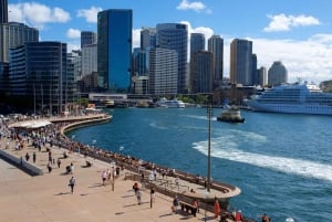 Сидней: Пляж Бонди, Оперный театр и город Сидней Частный тур