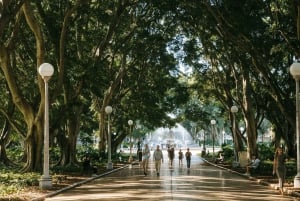 Сидней: Пляж Бонди, Оперный театр и город Сидней Частный тур