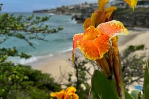 Sydney: Bondi Sunrise Yoga and Coastal Walking Tour